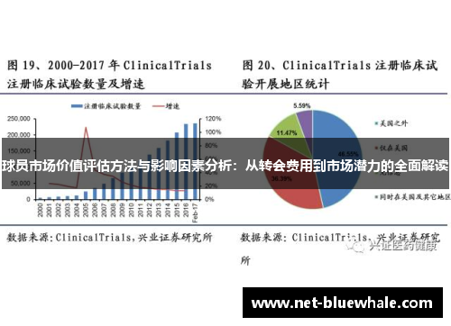 球员市场价值评估方法与影响因素分析：从转会费用到市场潜力的全面解读