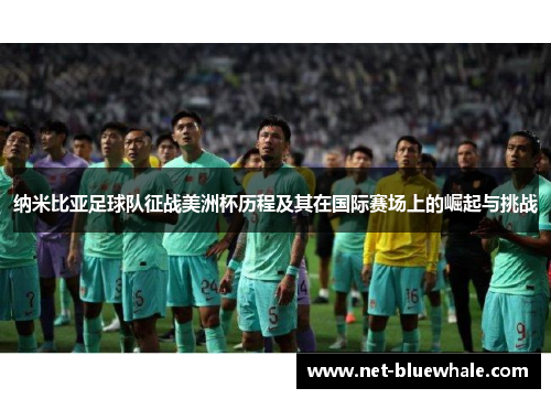 纳米比亚足球队征战美洲杯历程及其在国际赛场上的崛起与挑战