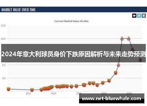 2024年意大利球员身价下跌原因解析与未来走势预测
