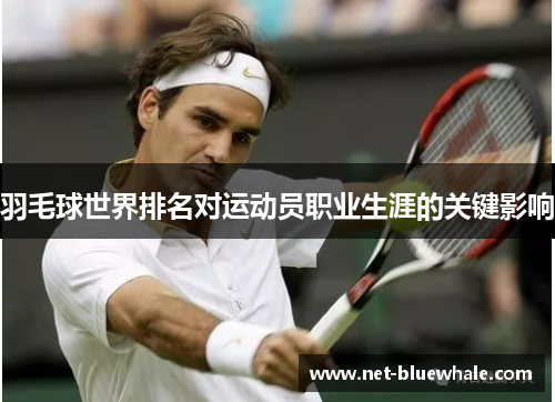 羽毛球世界排名对运动员职业生涯的关键影响