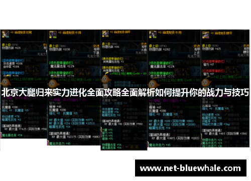 北京大腿归来实力进化全面攻略全面解析如何提升你的战力与技巧