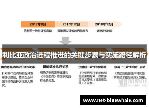 利比亚政治进程推进的关键步骤与实施路径解析