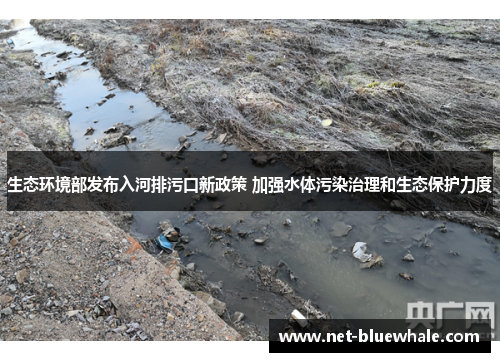 生态环境部发布入河排污口新政策 加强水体污染治理和生态保护力度