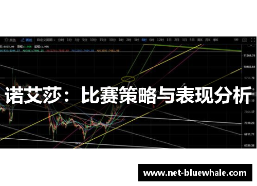 诺艾莎：比赛策略与表现分析