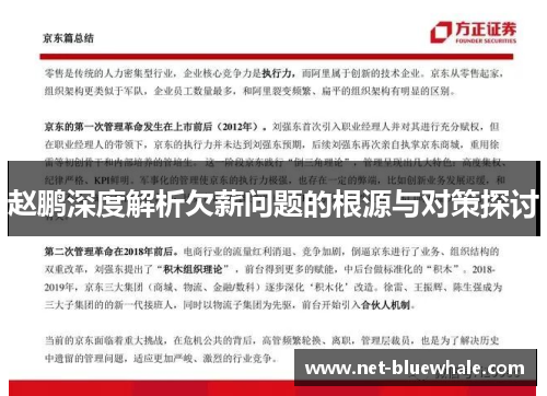 赵鹏深度解析欠薪问题的根源与对策探讨