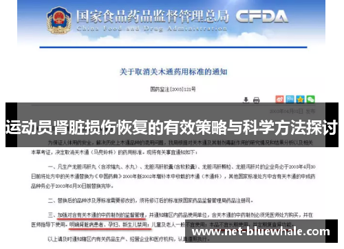 运动员肾脏损伤恢复的有效策略与科学方法探讨